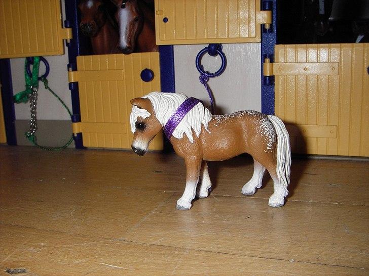 Rosengaarden's Schleich Heste - Navn: Rosengaarden's Mrs. Diana, Køn: Hoppe, Race: Fallebella, Mor: Grønnegården's Hautiana, Far: Grønnegården's Niller, Alder: 8 år, Kommentar: Diana er en dejlig men meget bestemt hoppe. Hun er meget kærlig men hun elsker at bedstemme over de andre. billede 52