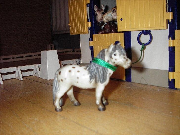 Rosengaarden's Schleich Heste - Navn: Rosengaarden's Sugarfoot, Køn: Hingst, Race: Fallabella, Mor: Æblegården's Lisa, Far: Magnus, Alder: 10 år, Kommentar: Sugarfoot er en meget rolig hingst. Han elsker små børn og de må meget gerne nusse med ham og give ham godbidder. billede 53