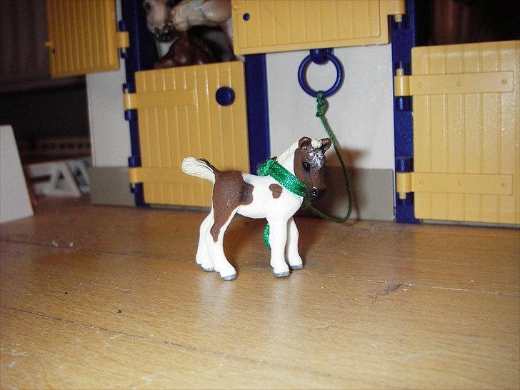 Rosengaarden's Schleich Heste - Navn: Rosengaarden's Little Prins, Køn: Hingst, Race: Fallabella, Mor: RG's Mrs. Diana, Far: RG's Sugarfoot, Alder: 1 år, Kommentar: Prins er et sødt lille hingste føl. Han er altid glad og kommer en imøde.
 billede 51