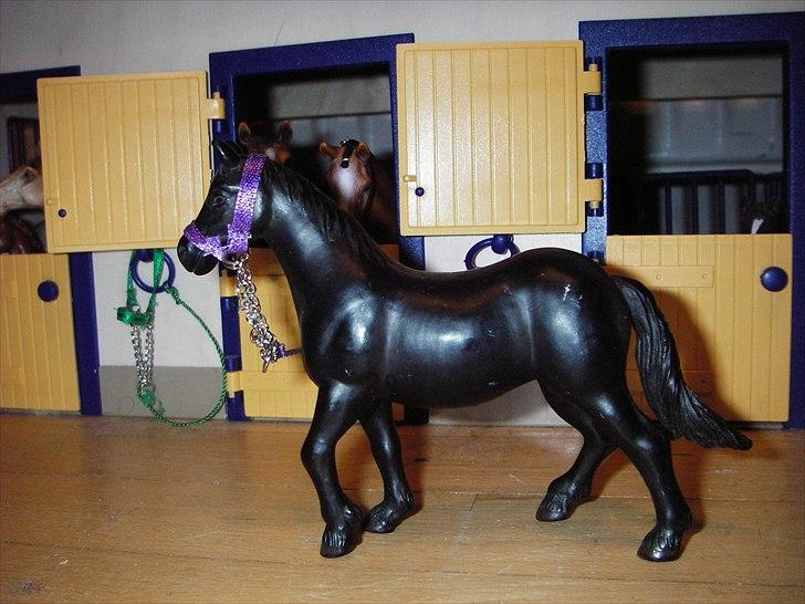 Rosengaarden's Schleich Heste - Navn: Rosengaarden's Mona Lisa, Køn: Hoppe, Race: Blanding, Mor: Ukendt Far: Ukendt, Alder: 14 år, Kommentar: Mona Lisa er lidt ligesom sin søn. Hun gør præsis det hun bliver bedt om og ikke en tand hverken mere eller mindre. billede 59