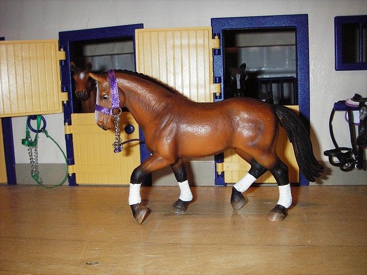 Rosengaarden's Schleich Heste - Navn: Tennése, Køn: Hoppe, Race: Hannovarener, Mor: Ellegaarden's Petunia, Far: Ellegaarden's Flow, Alder: 9 år, Kommentar: Tennése er en førsteklasses dressure hoppe! Hun har vundet EM i dressur med sin ejer Kristina. billede 60