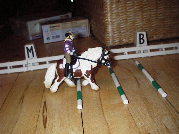 Rosengaarden's Schleich Heste - Katrine og hendes part Miss Zippie er de første der prøver opvarmnings banen billede 10