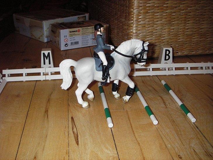 Rosengaarden's Schleich Heste - Susan varmer sin springhingst Kingfisher op billede 17