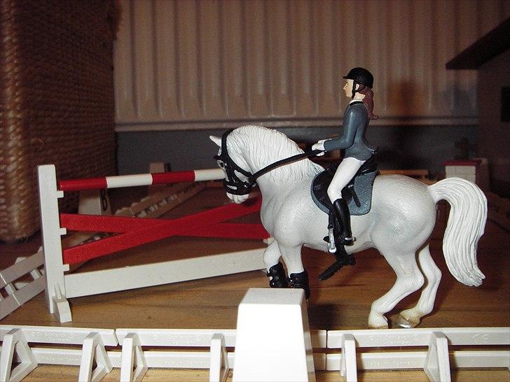 Rosengaarden's Schleich Heste - Susan skal prøve springbanen på sin dygtige springhingst Kingfisher billede 34