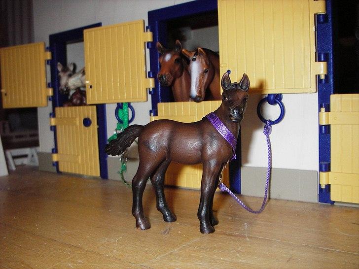 Rosengaarden's Schleich Heste - Navn: Rosengaarden's Shadow, Køn: Hoppe, Race: Araber, Mor: RG's Sif, Far: RG's Shamir, Alder: 2 år, Kommentar: Shadow er et meget almindeligt føl. Hun er rigtig glad for at løbe på folden eller at lege med sin søster Jasmin. billede 54