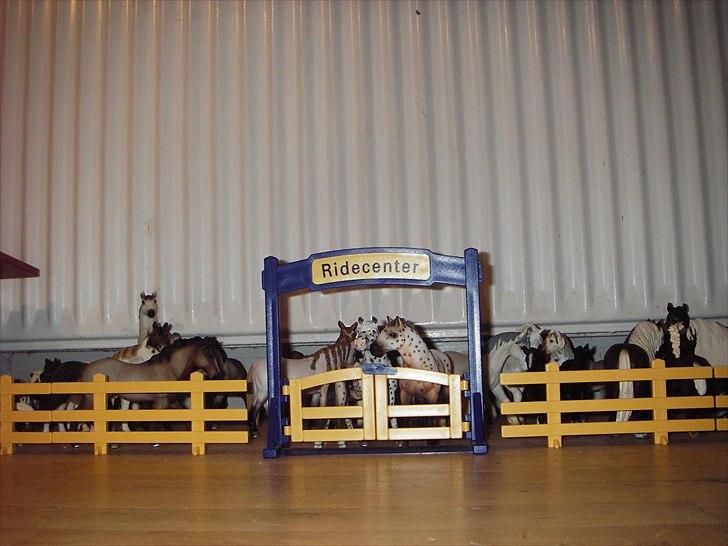 Rosengaarden's Schleich Heste - Rosengaarden's Fold billede 5