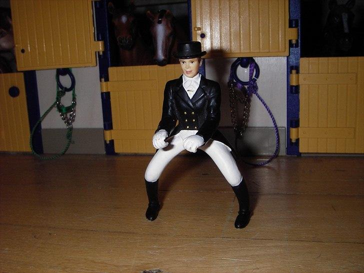 Rosengaarden's Schleich Heste - Kristina. Kristina har EM i dressur i 2010 og hun er kommet på andenpladsen i VM. Hun har sin dressurhest: Tennése opstalden her og hun motionerer vores dressur heste når vi ikke selv har tid. Kristina er 24 år. billede 49