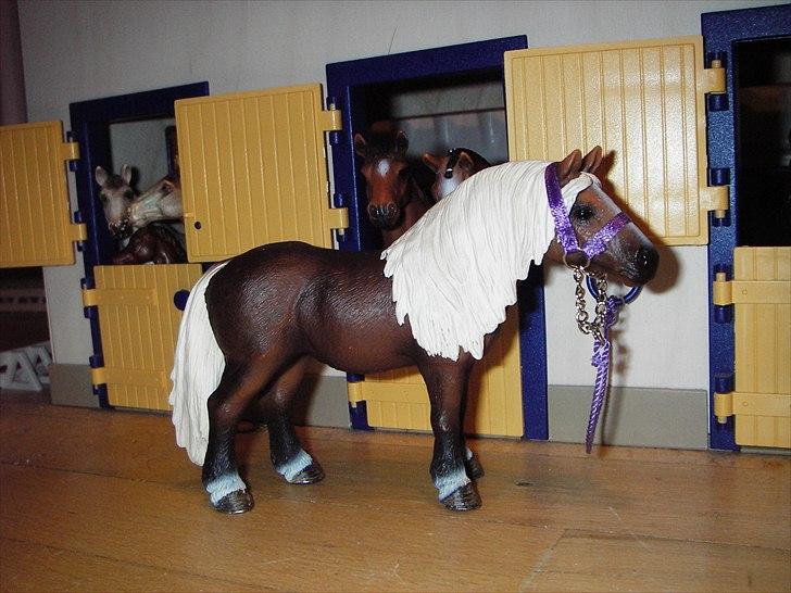 Rosengaarden's Schleich Heste - Navn: Rosengaarden's Sunrice, Køn: Hoppe, Race: Schwarzwälder Koldblod Mor: Ukendt, Far: Ukendt billede 78