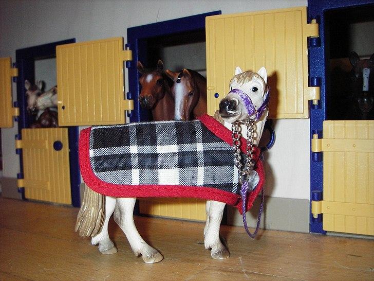 Rosengaarden's Schleich Heste - Navn: Rosengaarden's Athene, Køn: Hoppe, Race: Cameruge, Mor: Ukendt, Far: Ukendt billede 83