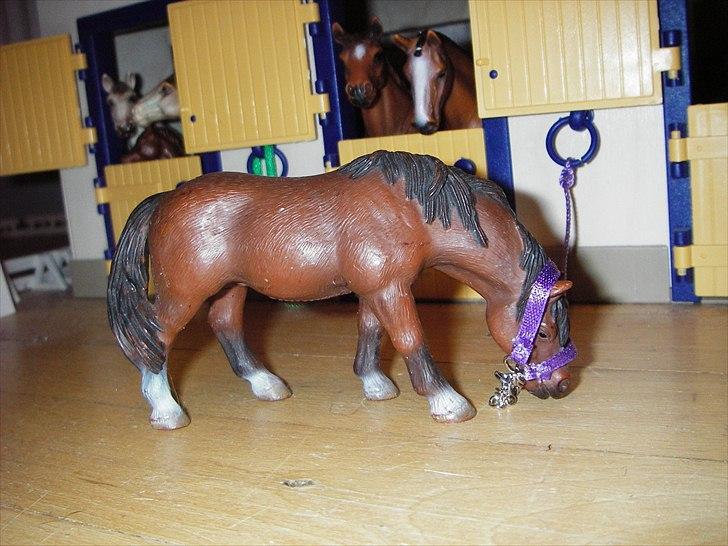 Rosengaarden's Schleich Heste - Navn: Rosengaarden's Claire, Køn: Hoppe, Race: Welsh, Mor: Ukendt, Far: Ukendt, Alder: 9 år, Kommentar: Claire er en dejlig hoppe men hun bliver ikke redet så meget da hun har tendens til at stoppe uden at ville gå bare et skridt mere. Der er tilgængæld mange der elsker at strigle hende. billede 64