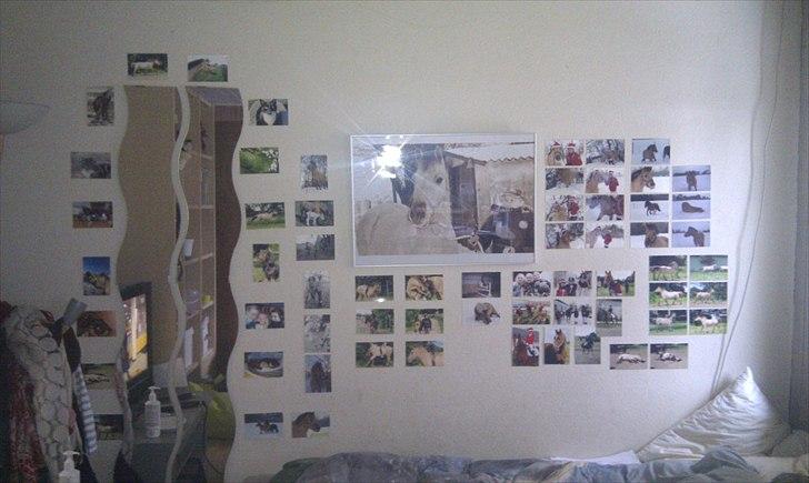 Seje ting!:D - Min billedvæg:D med flest billeder af momse, men også af Snubbi, Tanja, mine dejlige veninder, min hund & kat:D<3
Copyright©emilie&momrik
 billede 9