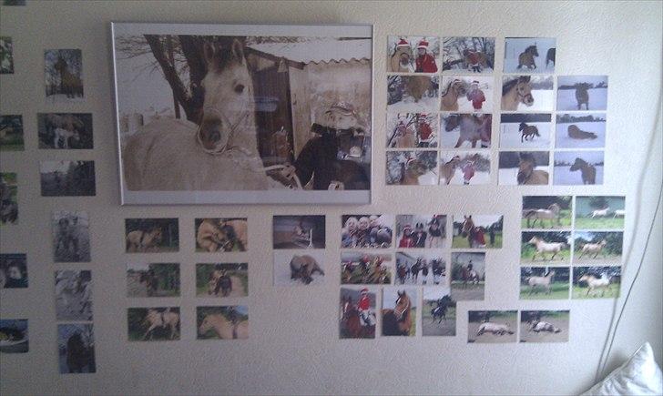 Seje ting!:D - Copyright©emilie&momrik
 billede 10