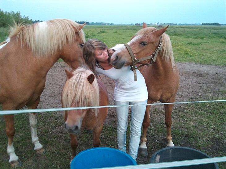 {{currentPhoto.altText}} billede {{currentPhoto.number}}