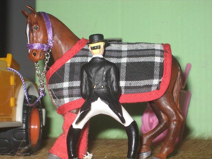 Dusty's første stævne ved os(: [SCHLEICH] billede 17