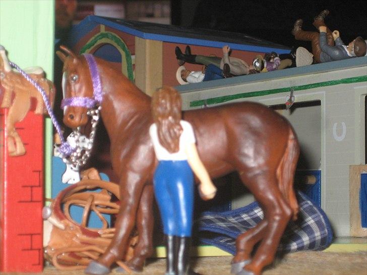 Dusty's første stævne ved os(: [SCHLEICH] billede 34