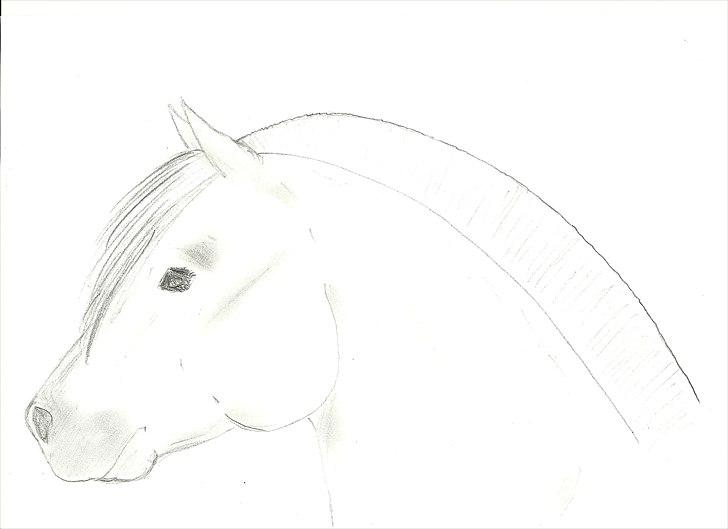 Lidt af min kreative side;O) - Hoved af en fjolle..desværre kommer skyggerne ik rigtig på nå jeg scanner:O( billede 10