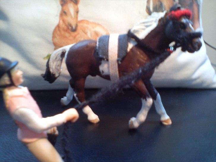 Hjemmelavet Schleich udstyr. - Longerings udstyr på malet hest:) billede 3