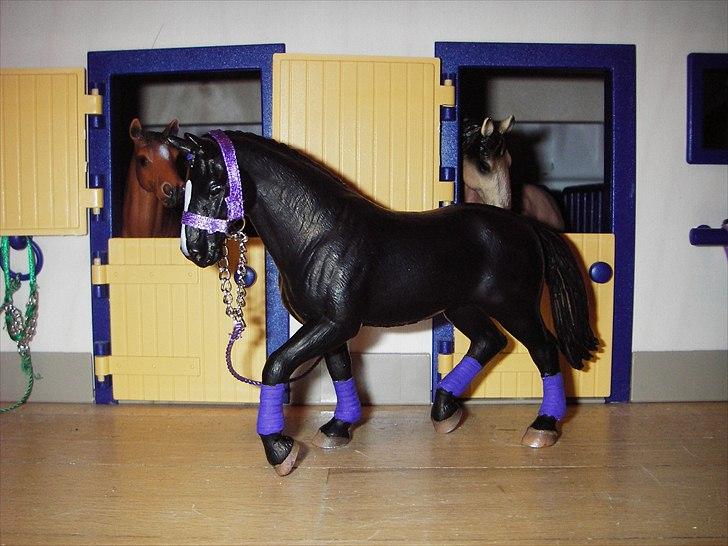 Rosengaarden's Schleich Heste - Navn: Rosengaarden's Black Queen, Køn: Hoppe, Race: Hannoveraner, Mor: Ukendt, Far Ukendt billede 84