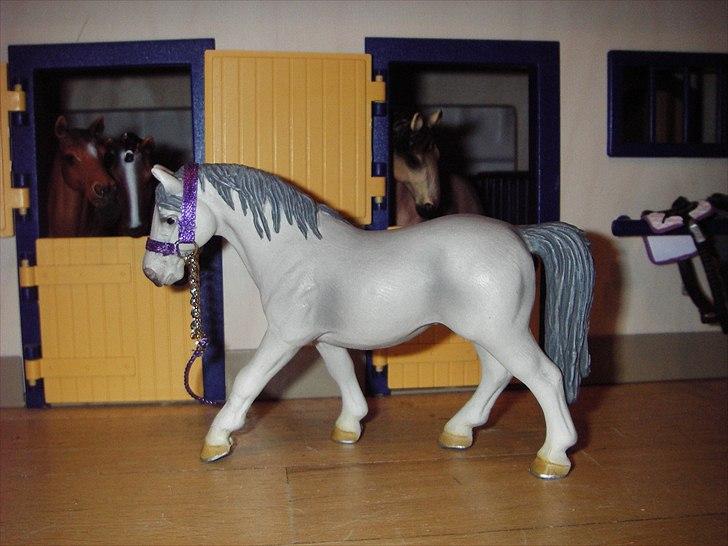 Rosengaarden's Schleich Heste - Navn: Moonlight Minuts, Køn: Hoppe, Race: Lipizanner, Mor: Ukendt, Far: Ukendt billede 85