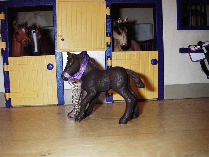 Rosengaarden's Schleich Heste - Navn: Rosengaarden's Zafir, Køn: Hoppe, Race: Cameruge, Mor: RG's Athene, Far: Ukendt billede 86