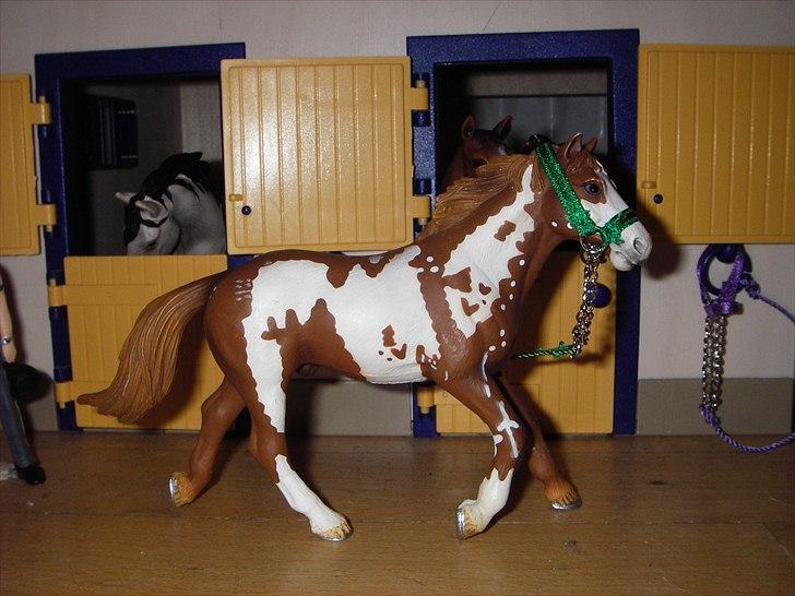 Rosengaarden's Schleich Heste - Navn: Rosengaarden's Zanzibar, Køn: Hingst, Race: Pinto, Mor: Ukendt, Far: Ukendt billede 88