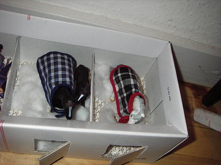 Rosengaarden's Schleich Heste - Rosengaarden's anden nyestald billede 4