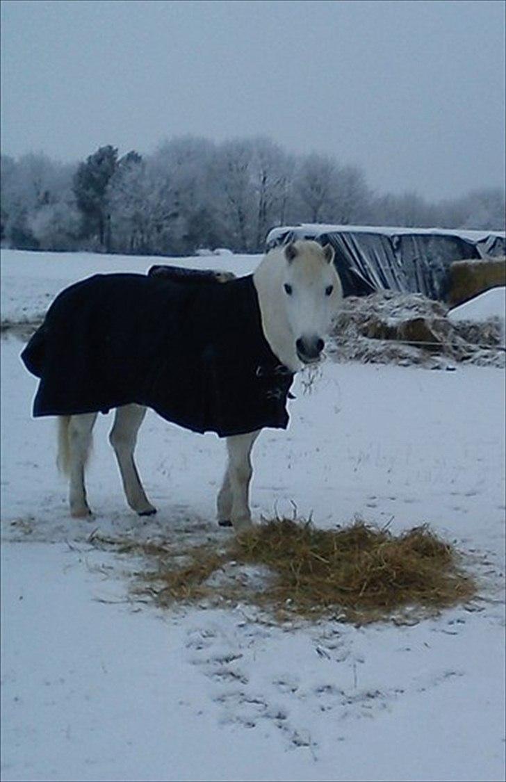 Billeder jeg har lavet  billede 35