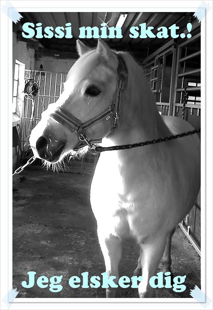 Billeder jeg har lavet  billede 36