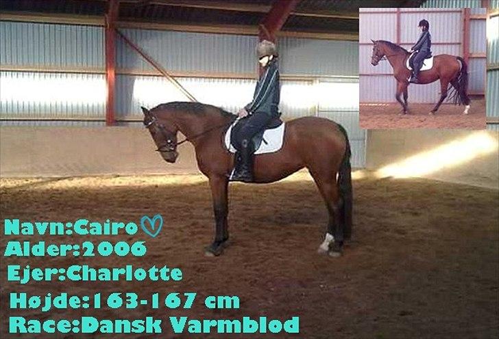 Billeder jeg har lavet  billede 37