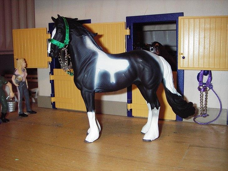 Rosengaarden's Schleich Heste - Navn: Rosengaarden's Pegasus, Køn: Hingst, Race: Tinker, Mor: Ukendt, Far Ukendt.
Vi har Pegasus fra NytHesteliv og han har været mishandlet! billede 91