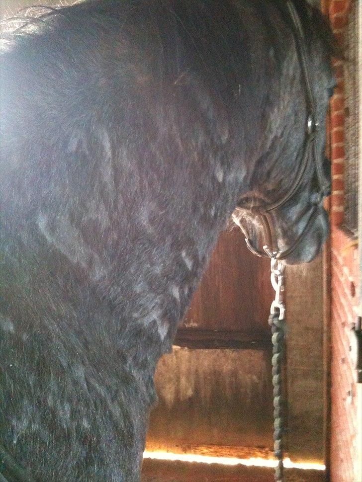 MF med regneksem ):  billede 7