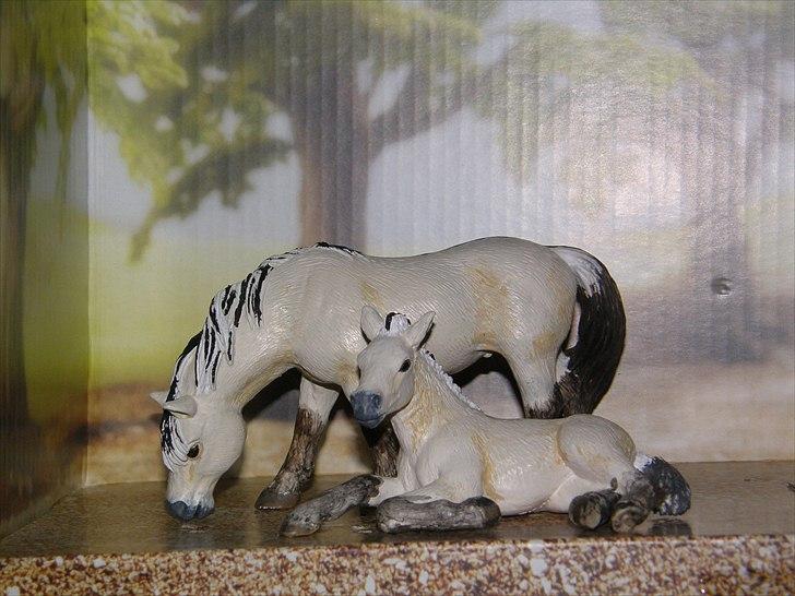 Mine Schleich Dyr - Modelmalet. Navn: Veronika Race: Ulsblak Fjordhest Køn: Hoppe Alder: 6 år Navn: Hindbærgården's Vanilla Twilight Race: Ulsblak Fjordhest Køn: Hoppe Alder: 1½ år Stamtavle: Mor: Veronika Far: Ukendt billede 108