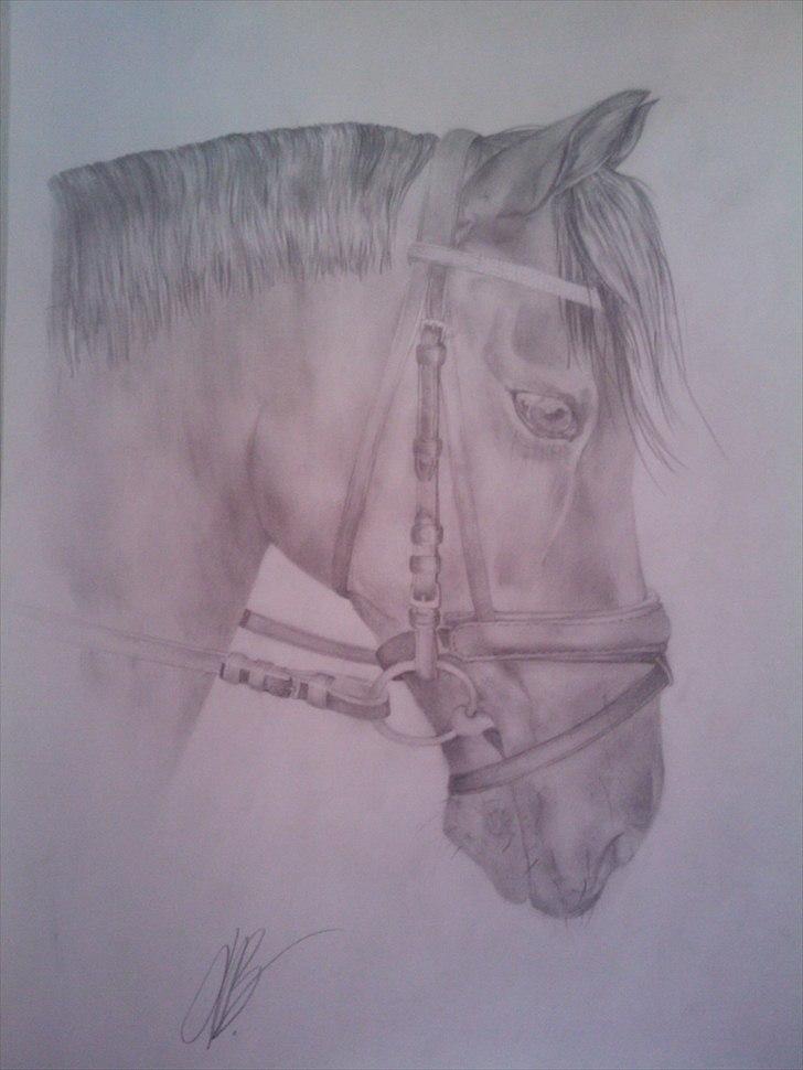 .. Tegninger :) | Åben for bestillinger. - Dårlig kvalitet, der kommer et nyt inden længe så man bedre kan se detaljerne. Den er tegnet til en veninde der skulle bruge den som gave. synes selv den blev fin. billede 13