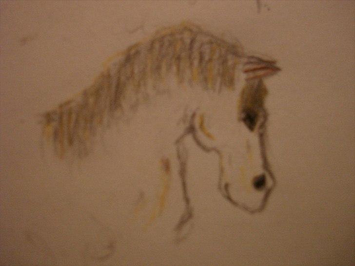 Tegninger til andre - Bare dressur (ikke til nogen.) billede 1