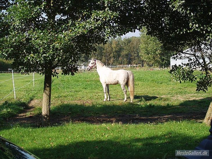 {{currentPhoto.altText}} billede {{currentPhoto.number}}