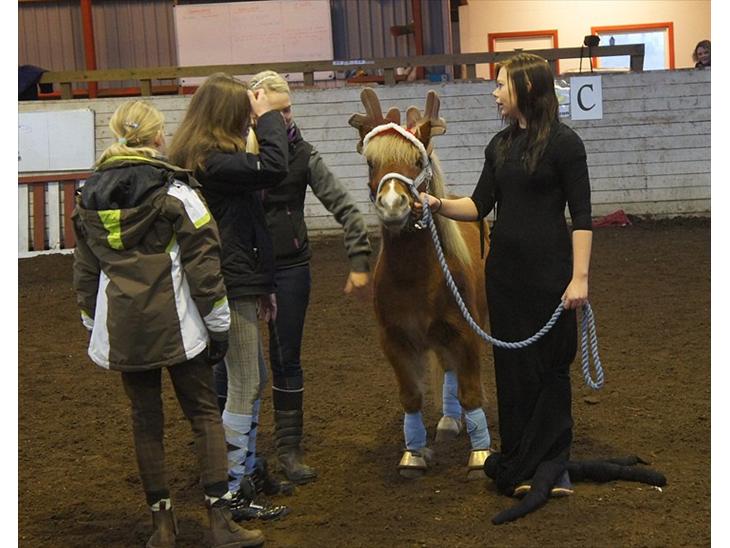 {{currentPhoto.altText}} billede {{currentPhoto.number}}