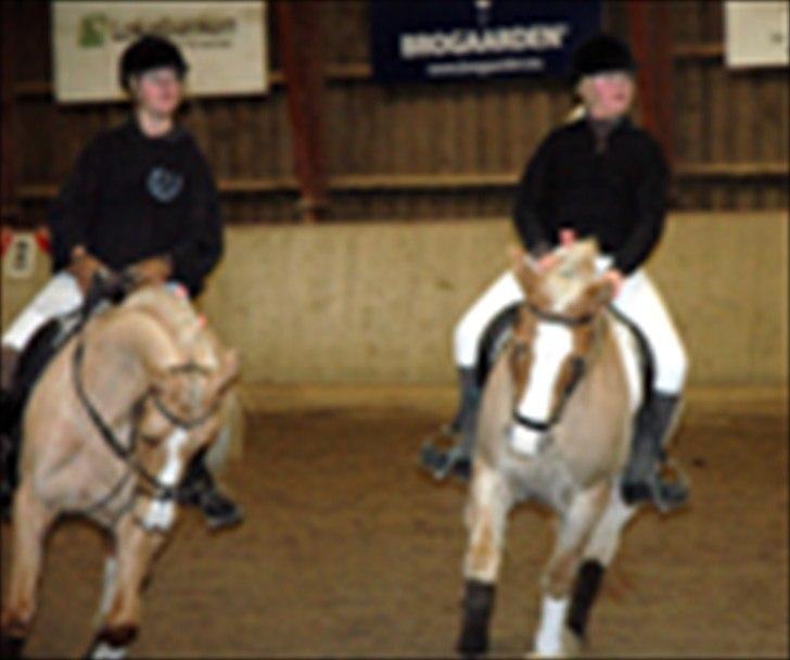 Kvadrilleridning til freddies 40 års fødselsdag  billede 3