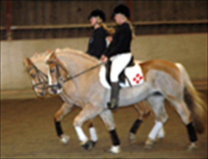 Kvadrilleridning til freddies 40 års fødselsdag  billede 4