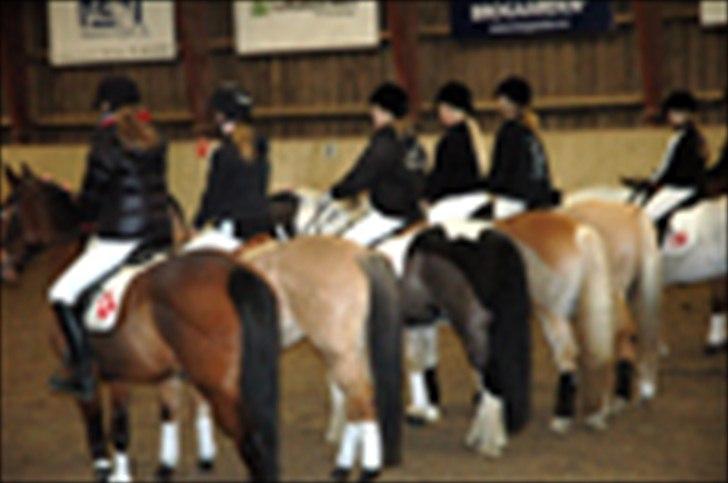 Kvadrilleridning til freddies 40 års fødselsdag  billede 5