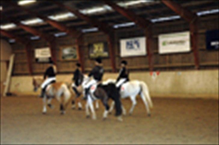 Kvadrilleridning til freddies 40 års fødselsdag  billede 7