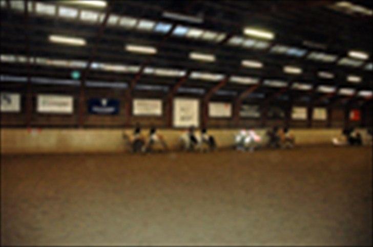 Kvadrilleridning til freddies 40 års fødselsdag  billede 8