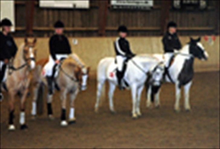 Kvadrilleridning til freddies 40 års fødselsdag  billede 9