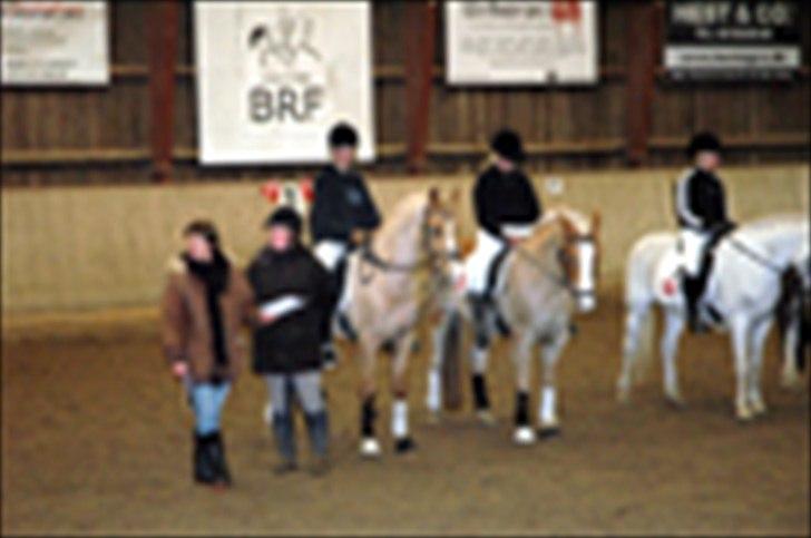 Kvadrilleridning til freddies 40 års fødselsdag  billede 10