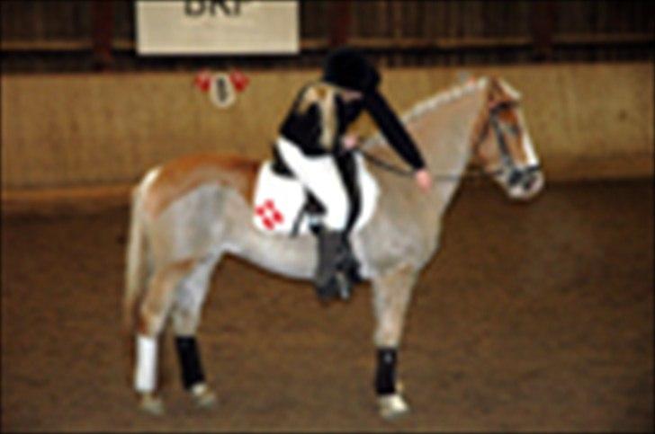 Kvadrilleridning til freddies 40 års fødselsdag  billede 11