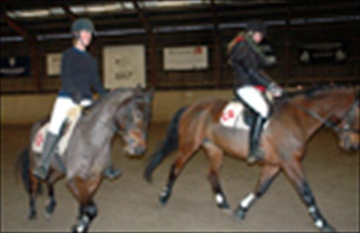 Kvadrilleridning til freddies 40 års fødselsdag  billede 12