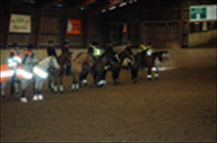 Kvadrilleridning til freddies 40 års fødselsdag  billede 13