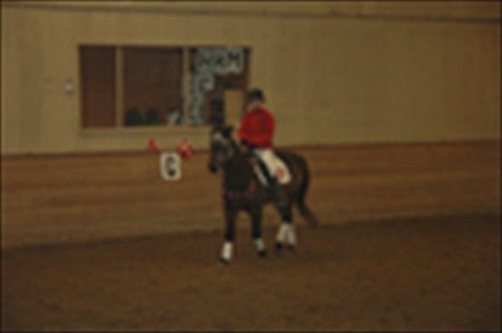 Kvadrilleridning til freddies 40 års fødselsdag  billede 14