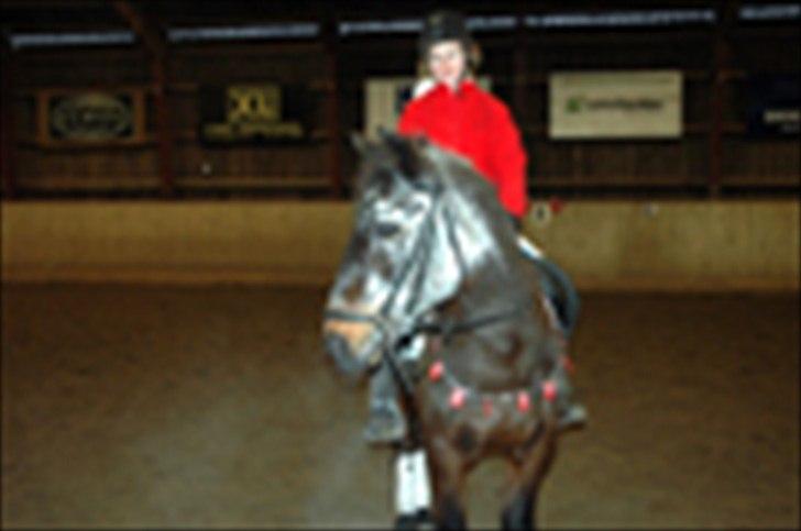 Kvadrilleridning til freddies 40 års fødselsdag  billede 16