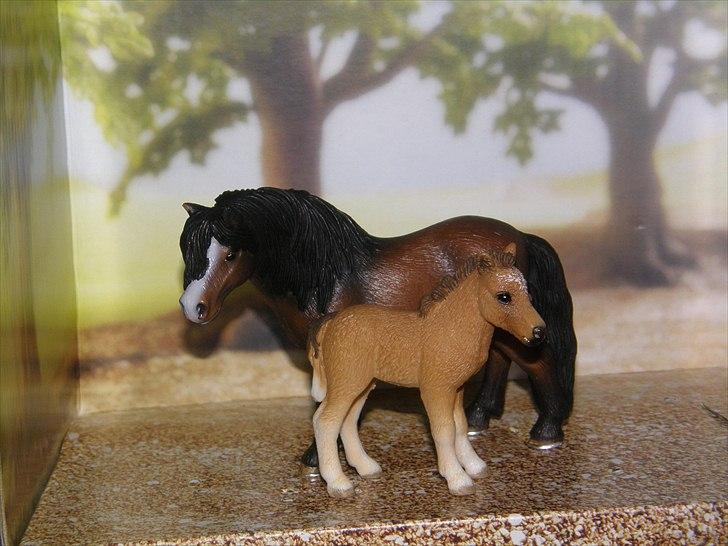 Mine Schleich Dyr - Navn: Lucky Charm (Pepper) Race: Dartmoor Køn: Hoppe Alder: 9 år Navn: Hindbærgården's Little Miss Sunshine (Mizzy) Race: Dartmoor Køn: Hoppe Alder: 1 mdr. Stamtavle: Mor: Lucky Charm Far: Moonlight billede 110