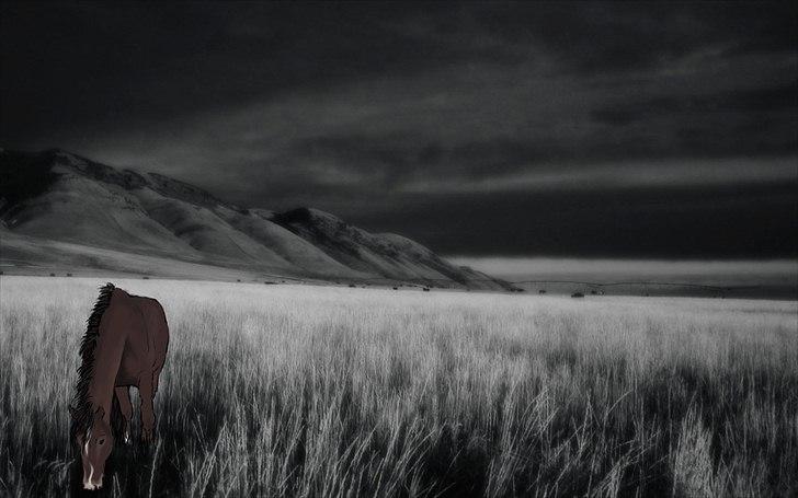 Billeder lavet/redigeret i Photoshop billede 1